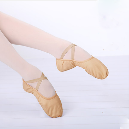 Dance Shoes Women Camel Soft Soled Training Shoes Classical Dance - FLIPSTYLEZLLC