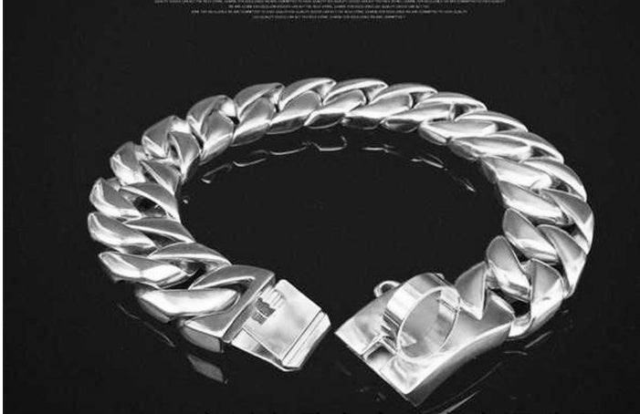 Stainless steel dog chain