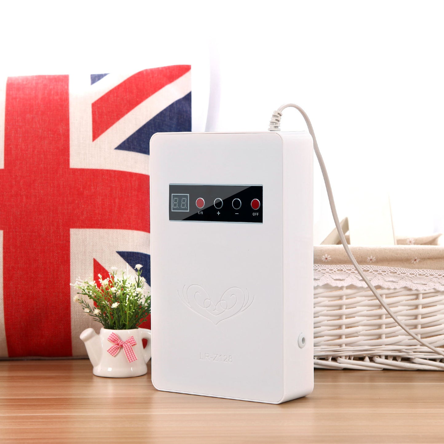 Household ozone generator