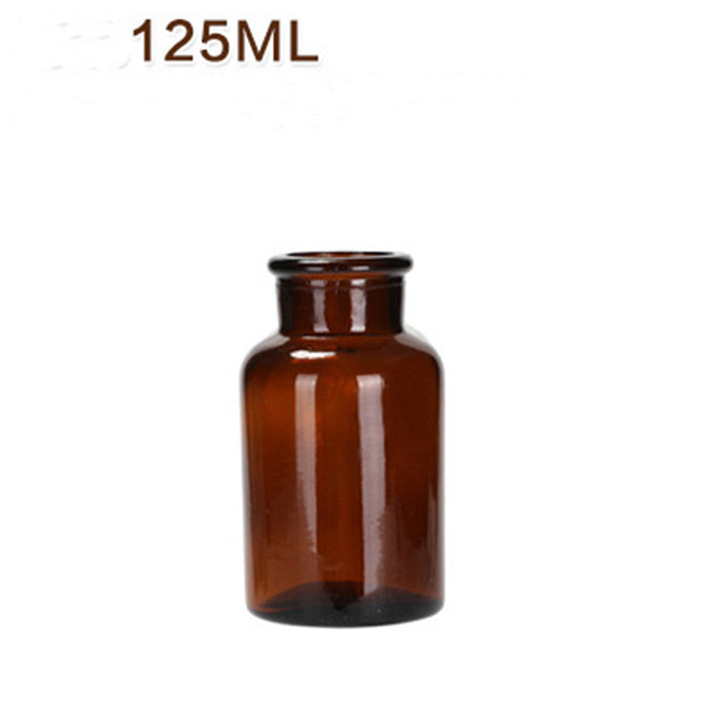 Hydroponic Plant Glass Bottle Living Room Decorations