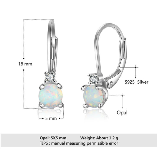 Simple Earrings S925 Silver Jewelry Women's Round