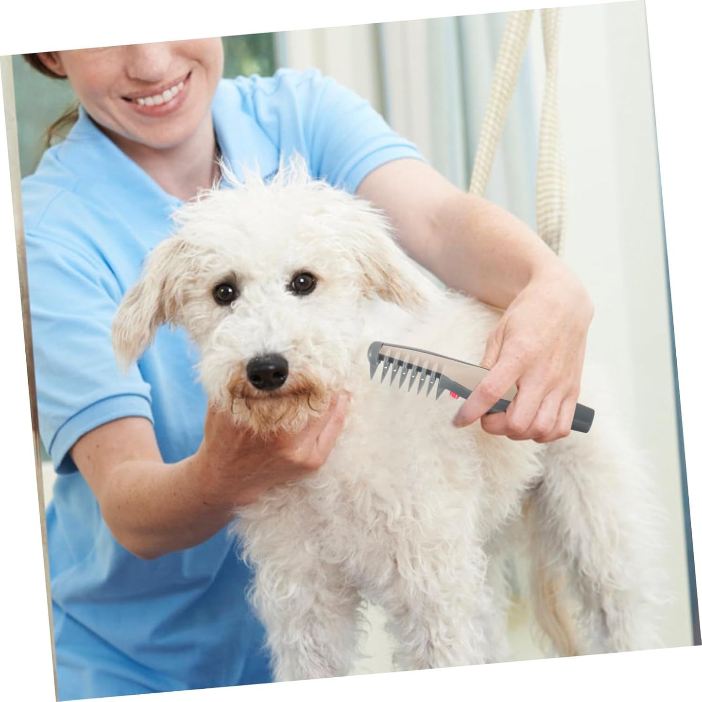 Pet Hair Trimmer For Precision Haircuts And Grooming Electric Razor 4 AA Batteries Are Required For Use Without Batteries