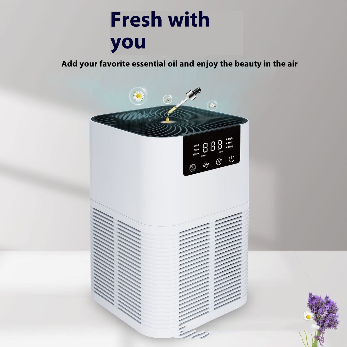 Anion Desktop Air Purifier Indoor