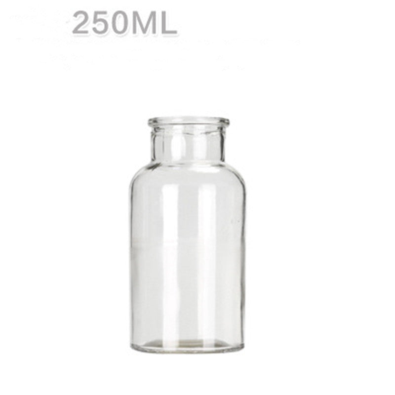 Hydroponic Plant Glass Bottle Living Room Decorations