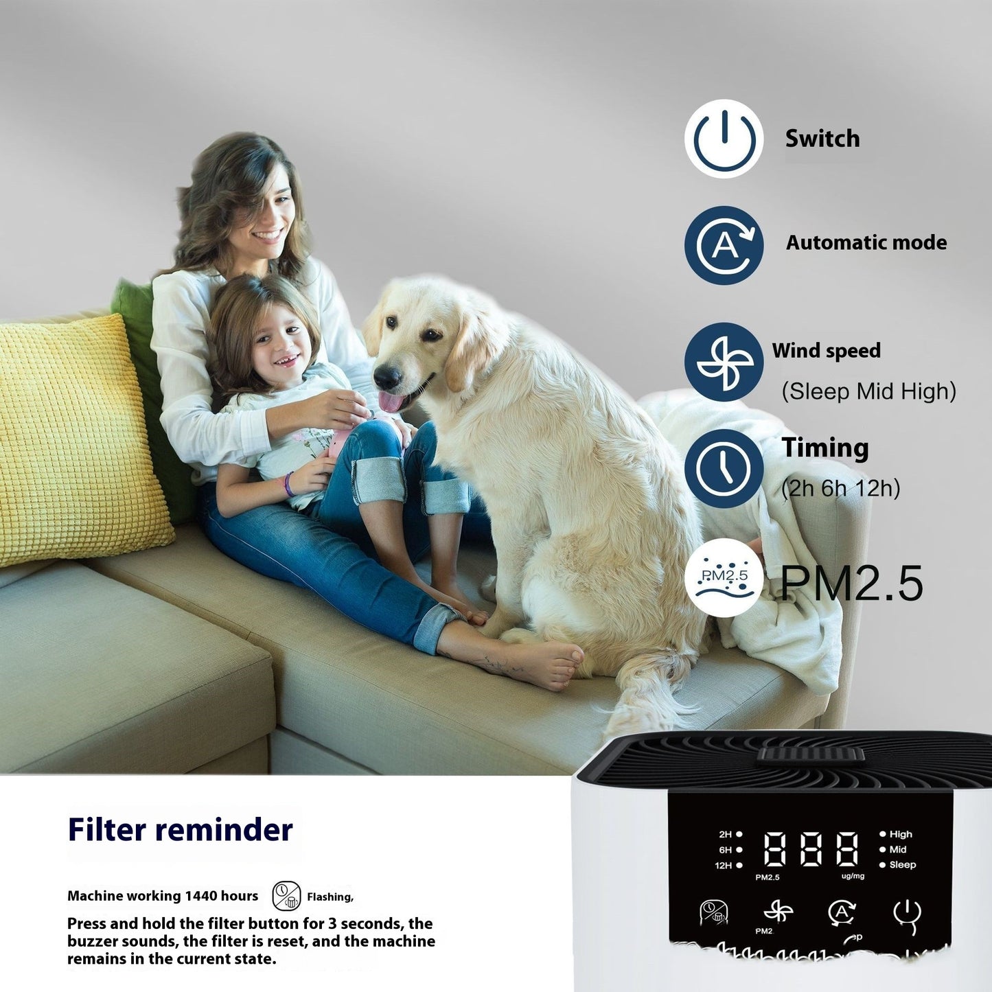 Anion Desktop Air Purifier Indoor