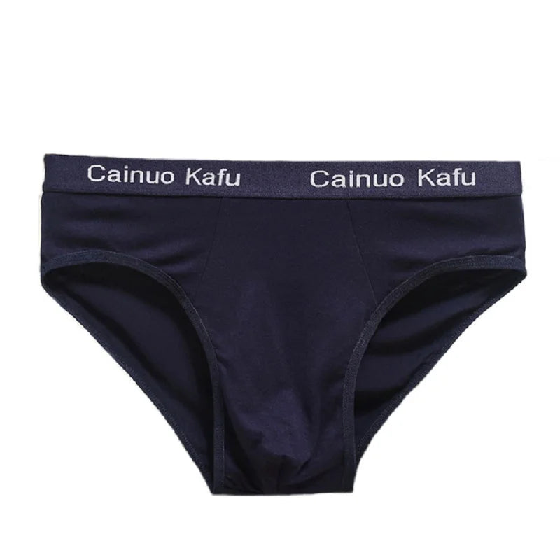 10Pcs/Lot Fashion Men's Panties Underwear Men Size Briefsr Bikini Pant Men Comfortable Sexy Slip Underpants Hot L-5XL