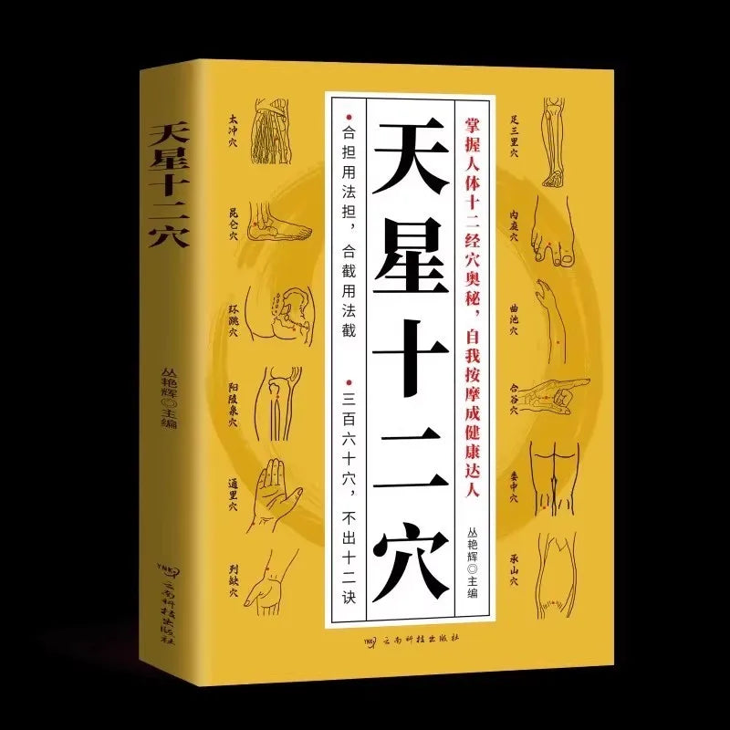 Tianxing Twelve Points Meridian Acupoint Map of The Whole Body of The Human Body