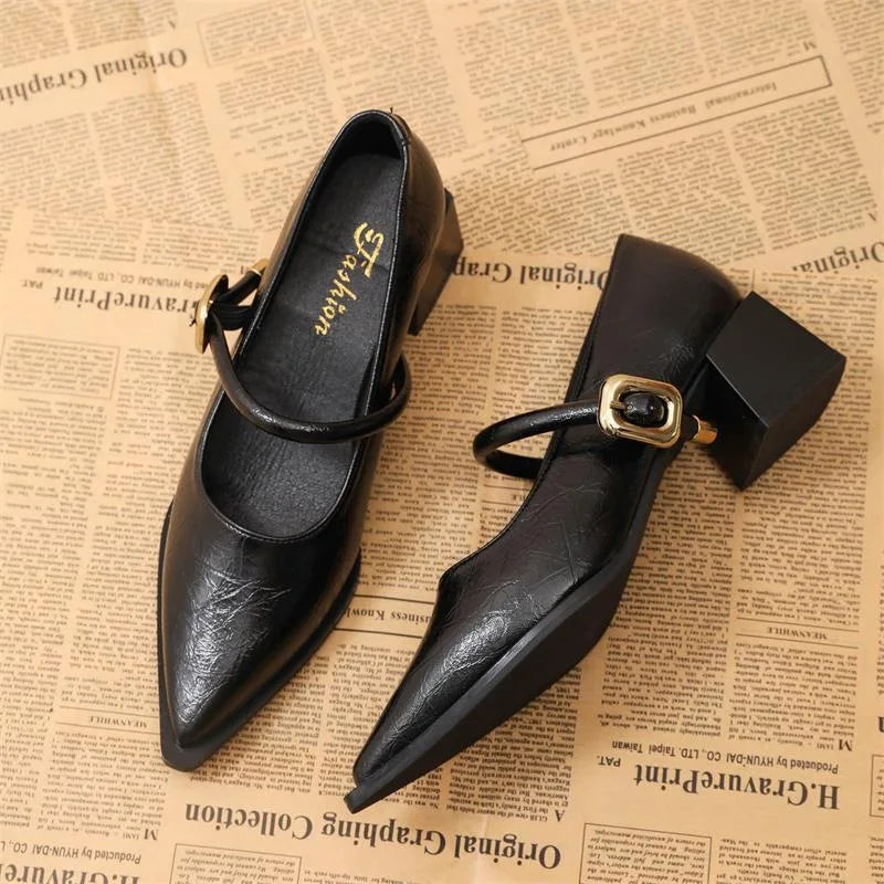 New Designer Vintage Pointed Toe Women Mary Jane Shoes Fashion Shallow Buckle Shoes Ladies Elegant Dress Thick Heel Shoes