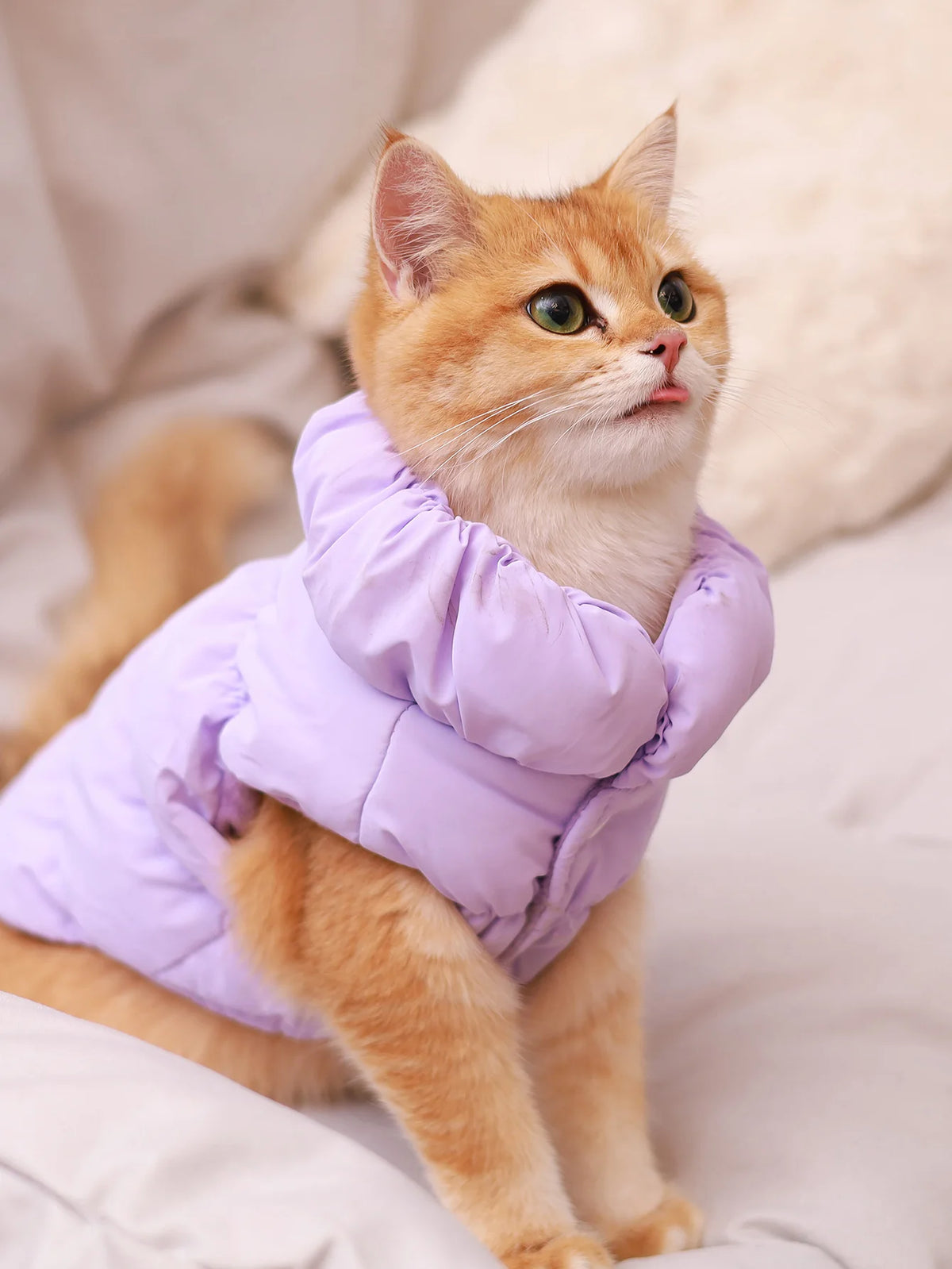 Warm Dog Jacket | 3-Layer Polyester Pet Coat | Autumn & Winter Walks