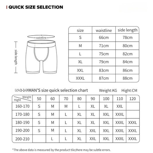 ETHIKA 1Pcs Men Underwear Boxers Breathable Mesh Crotch Man Underpants Plus Size Mens Panties L-3XL Printed Men's Boxers Briefs