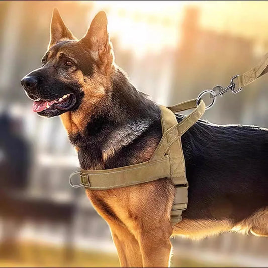 Dog Tactical Vest Nylon Outdoor Water-Repellent Dog Clothing Large and Medium-sized Dog Training Vest Harness Traction