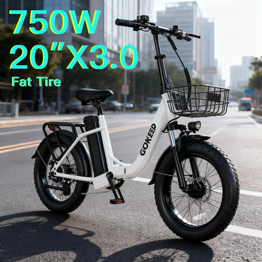 L20 E-Bike 750W motor 48V10AH folding mountain Electric Bicycle Mechanical brake 20*3-inch tire urban commuting Electric Bike