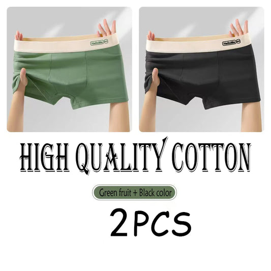 2/3PCS Cotton Men's Underwear Simple Fashion Comfortable Breathable Multi-Color Underwear Combination Sports Stretch Underwear