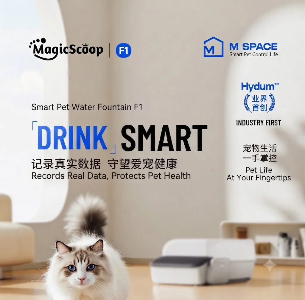 Pet Water Fountain Automatic Continuous Filtration of Fresh Water Large Capacity Transparent Design for Cat Pet Drin