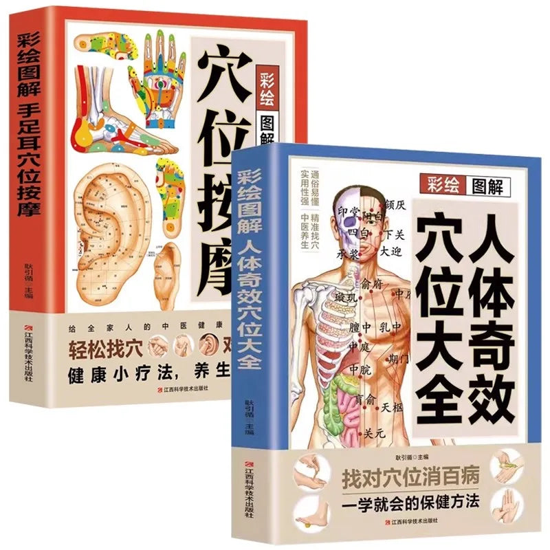 A Complete Guide to Acupoint Massage and Traditional Chinese Medicine Health Preservation Therapy for the Human Body