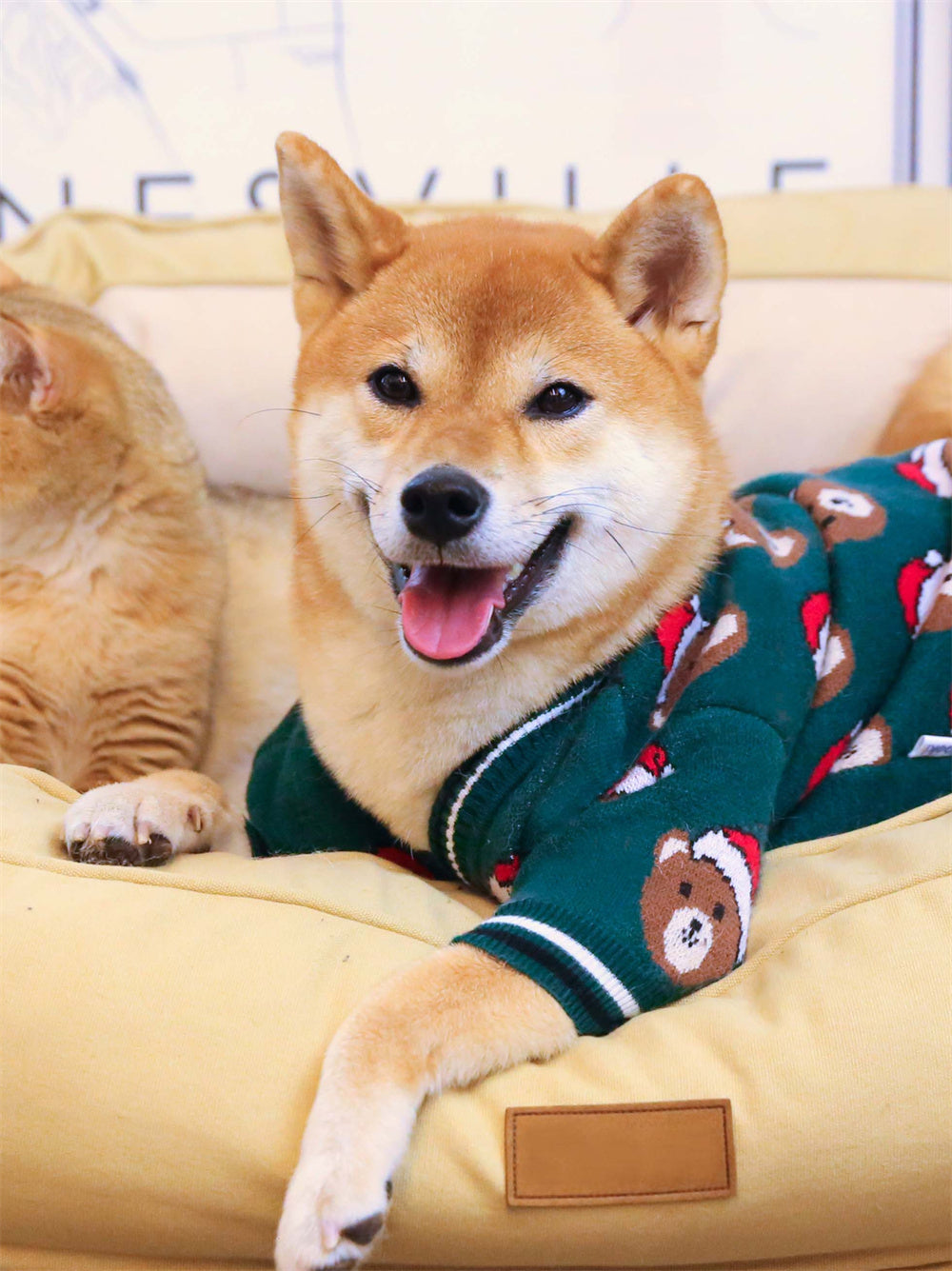 Sweater Dog Festive Festival Red New Year Greeting