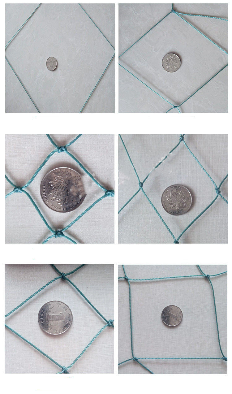 100m Poultry Chicken Netting Fence Chicken Netting Netting