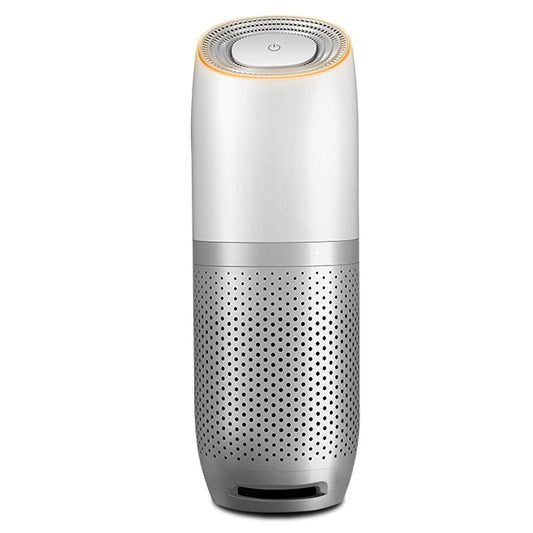 Portable Air Purifier With Smoke Odors Ionizer
