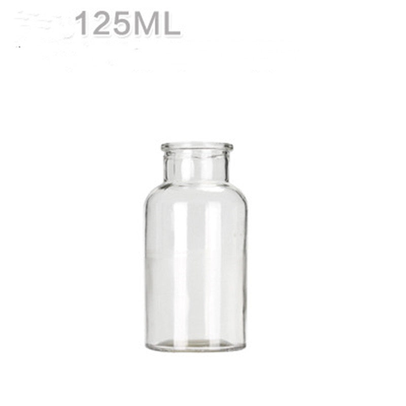 Hydroponic Plant Glass Bottle Living Room Decorations