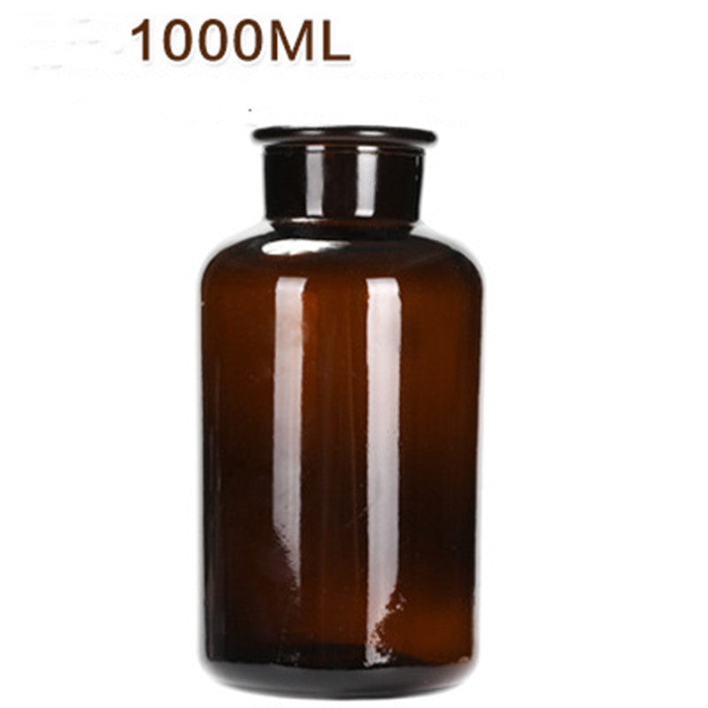 Hydroponic Plant Glass Bottle Living Room Decorations