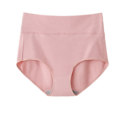 High Waist Briefs Plus Size Fat