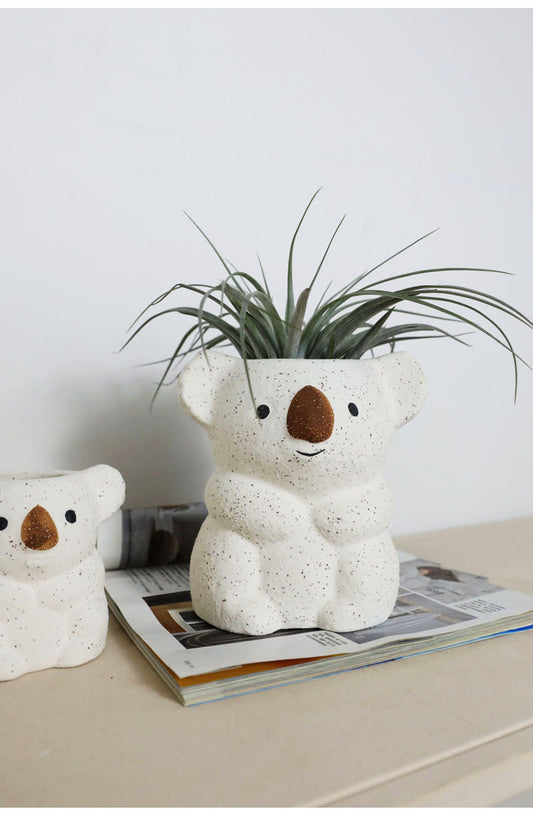 Air Plant Desktop Small Potted Nordic Ceramic Decoration