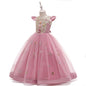 Banquet Evening Dress Girl Princess Tutu Little Host Performance Costume