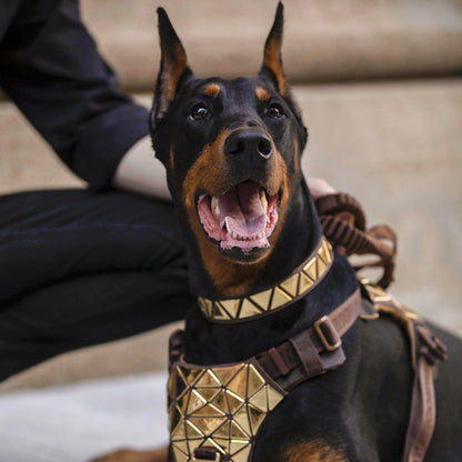 Dog Traction Rope Vest Style Chest Back