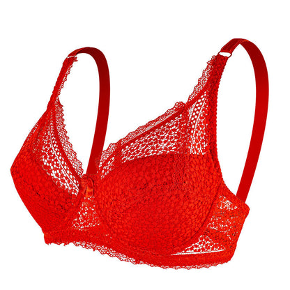 European And American Women's Plus Size Lace Bra