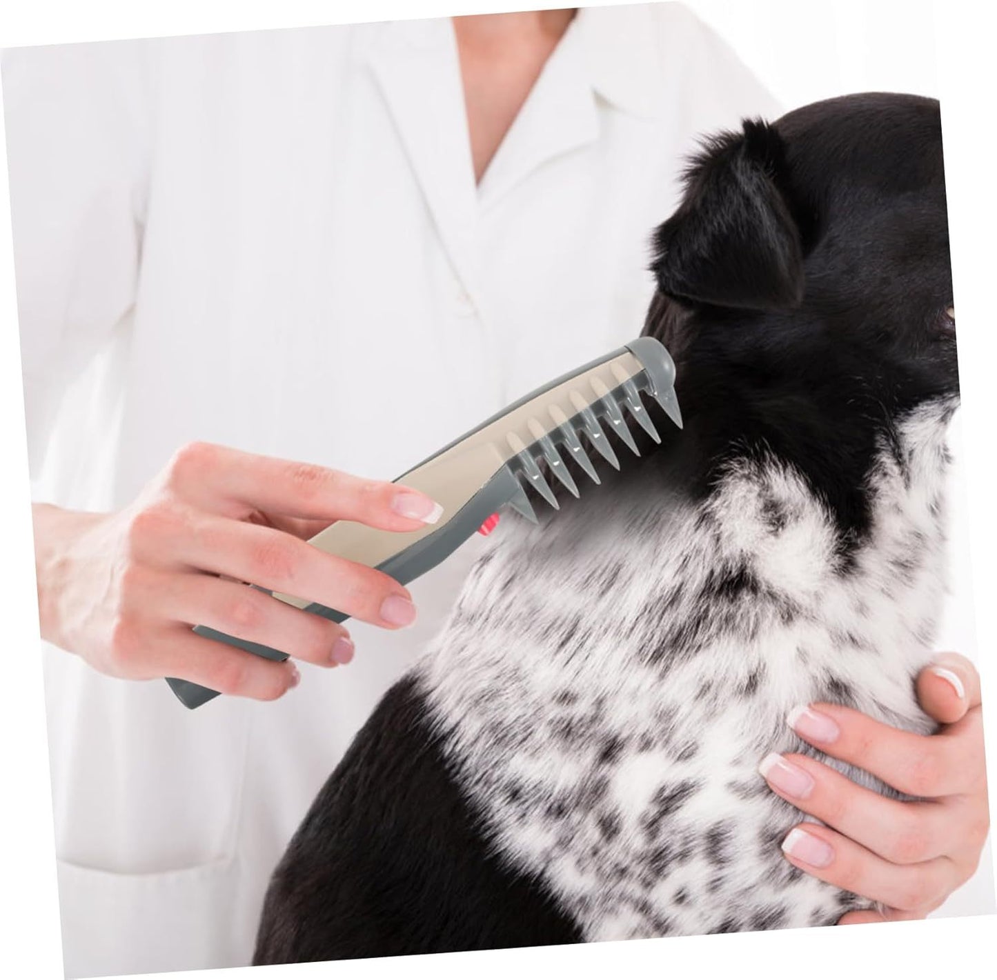 Pet Hair Trimmer For Precision Haircuts And Grooming  Electric Razor 4 AA Batteries Are Required For Use Without Batteries