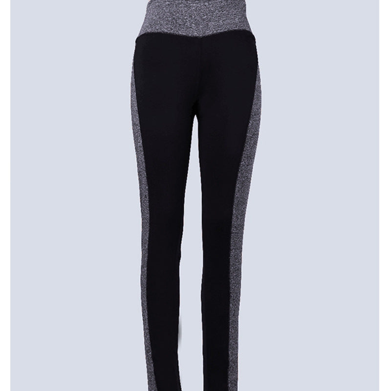 Multi panel hip lifting stretch plus size Leggings