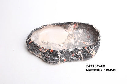 Plant Big Assorted Dish Ceramic Flower Pot Crafts