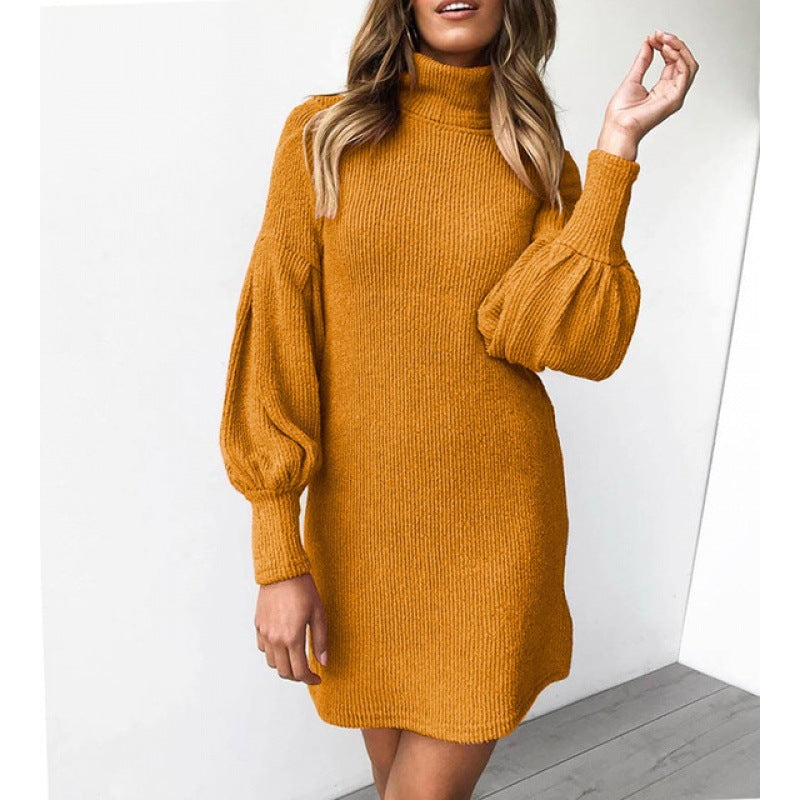 Winter Women's High Collar Knitted Dress