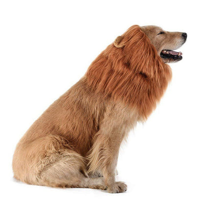 New Dog Wig Lion Mane Clothing