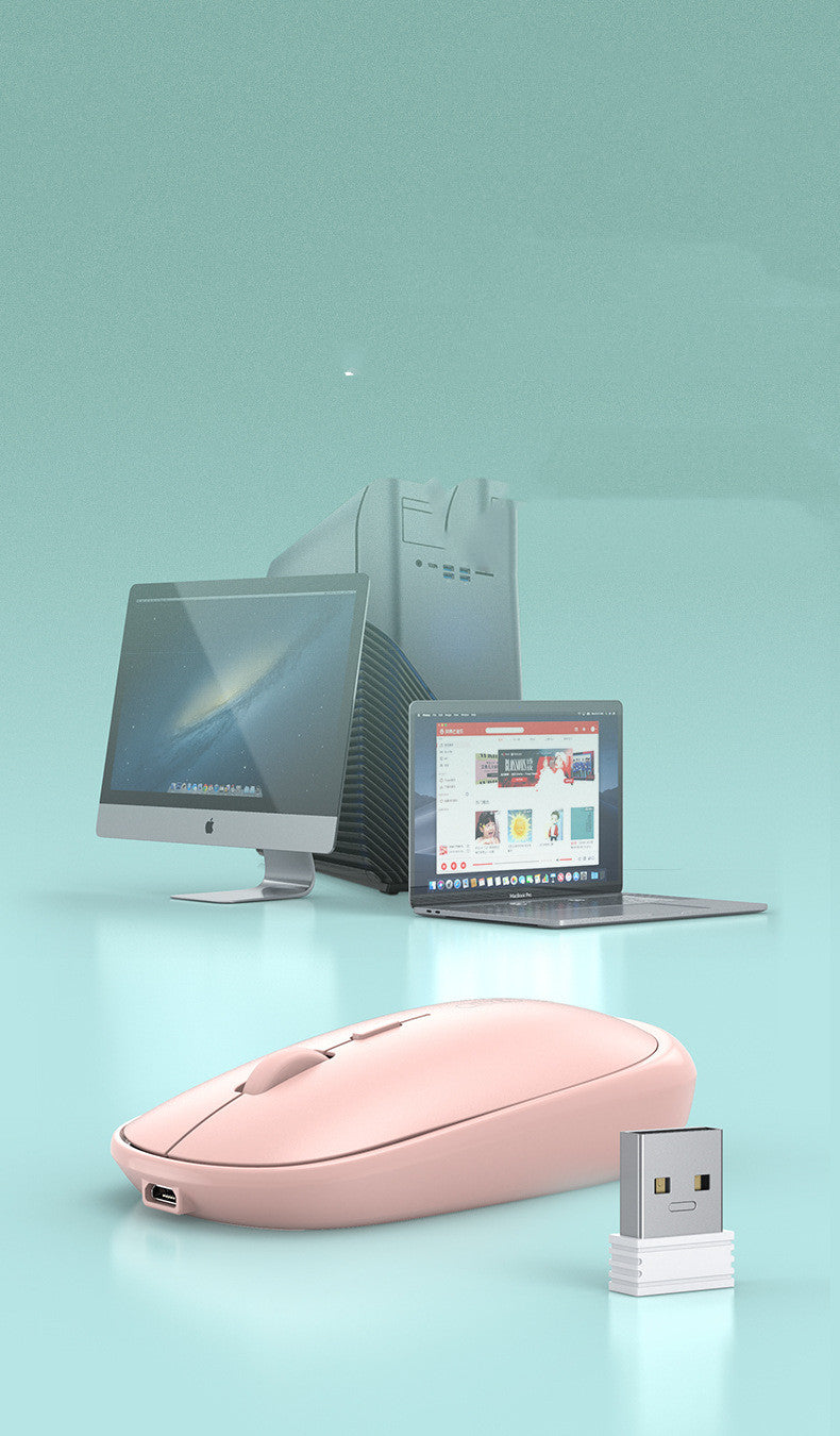 Male And Female Rechargeable For Laptop