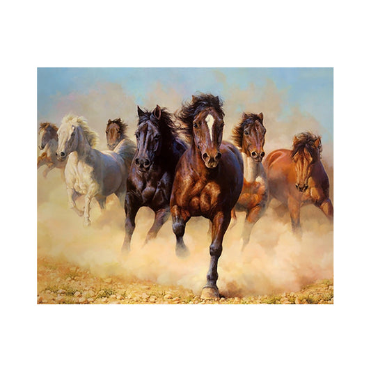 Black And White Horse DIY Digital Oil Painting Frameless Combo Frame