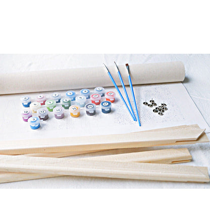 Black And White Horse DIY Digital Oil Painting Frameless Combo Frame