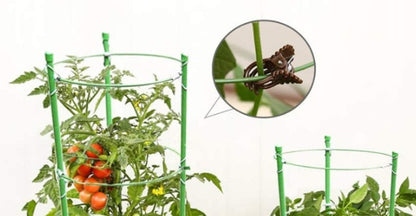 Plant Support Tomato Cage Climbing Frame Set