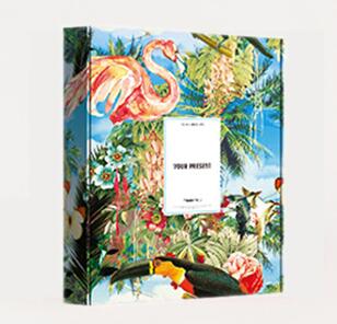 Airplane Box Color Clothes Packaging Box Jk Custom Rectangular Underwear Express Packaging Gift Paper Box