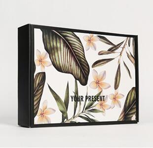 Airplane Box Color Clothes Packaging Box Jk Custom Rectangular Underwear Express Packaging Gift Paper Box
