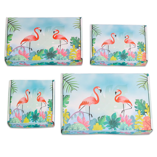 Color Gift Airplane Box Carton Extra Hard Express Box Hanfu Packaging Box