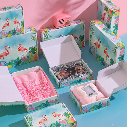 Color Gift Airplane Box Carton Extra Hard Express Box Hanfu Packaging Box