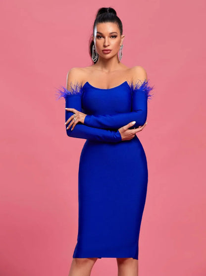 Long Sleeve Feather Women's Clothing Dress