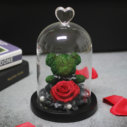 Preserved Flower Bear Glass Cover Gift Box