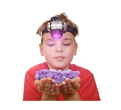 Fashion Simple LED Plastic Purple Headlight