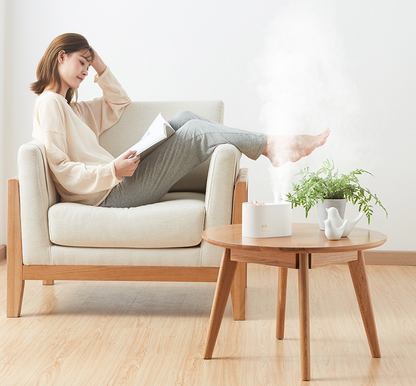 Wireless Mini USB charging sprayer