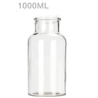 Hydroponic Plant Glass Bottle Living Room Decorations
