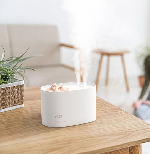 Wireless Mini USB charging sprayer