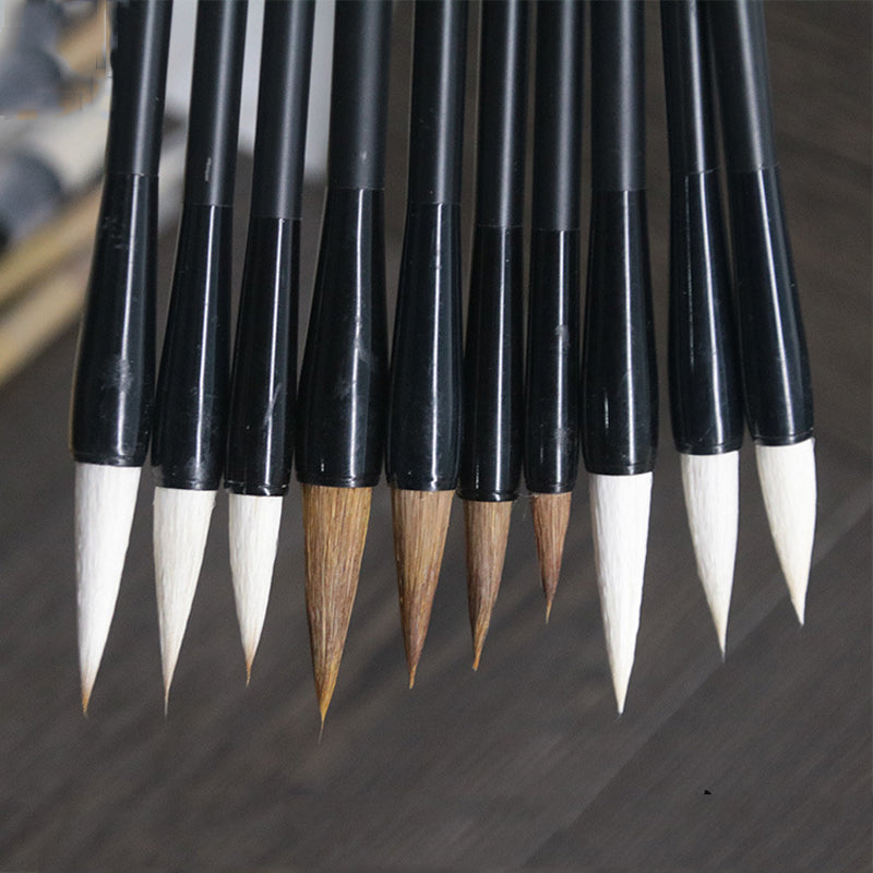 Student Wolf Hair Brush, Beginner And Hair Brush