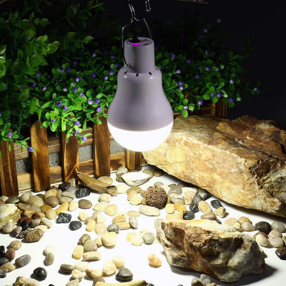 Outdoor Light Solar Lamp